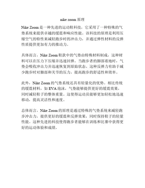 nike zoom 原理