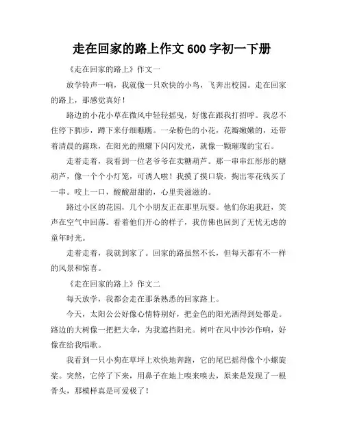 走在回家的路上作文600字初一下册