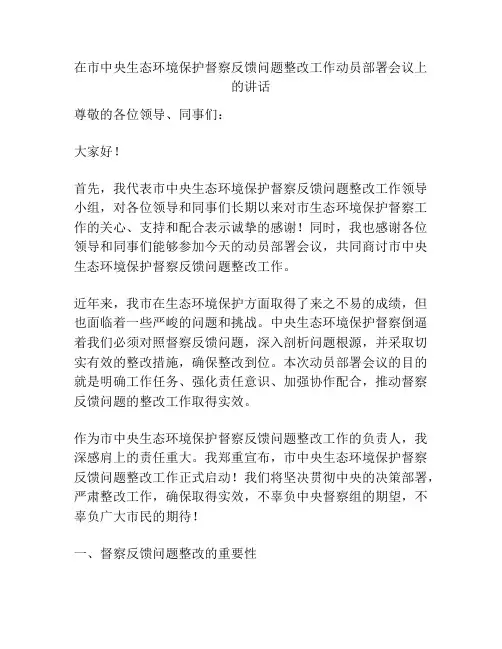在市中央生态环境保护督察反馈问题整改工作动员部署会议上的讲话