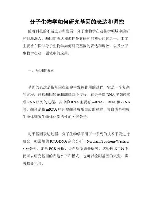 分子生物学如何研究基因的表达和调控