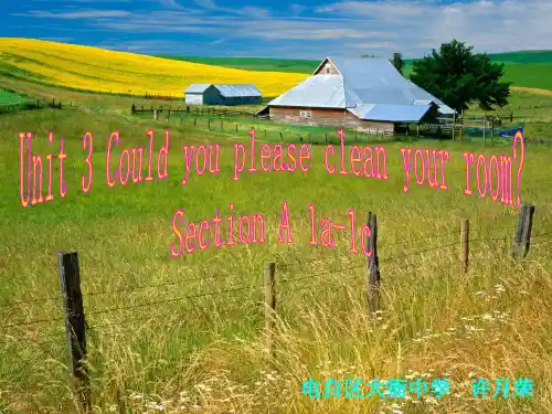 人教版初中初二八年级英语下册 名师教学课件Unit 3 Could you please clean