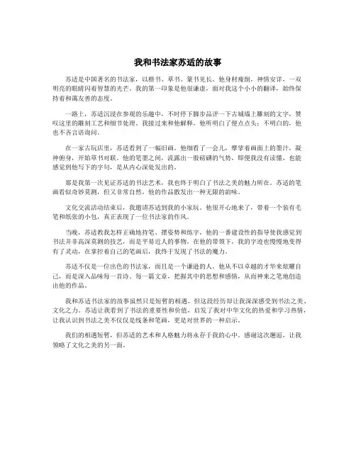 我和书法家苏适的故事