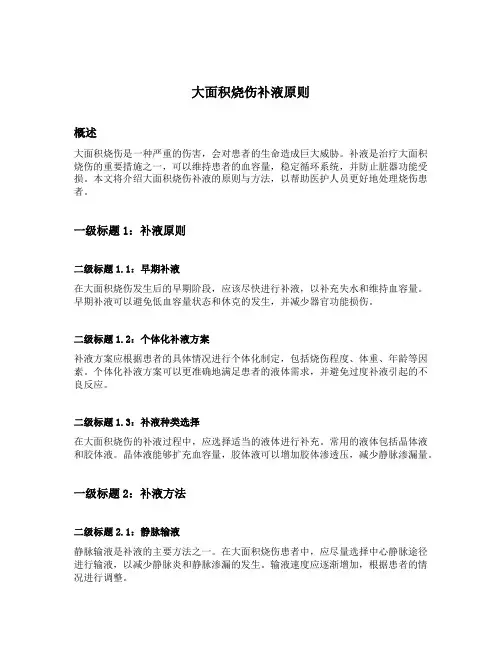 大面积烧伤补液原则