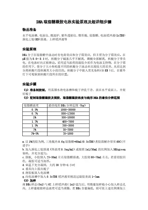 DNA琼脂糖凝胶电泳实验原理及超详细步骤