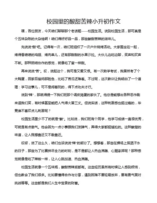 校园里的酸甜苦辣小升初作文