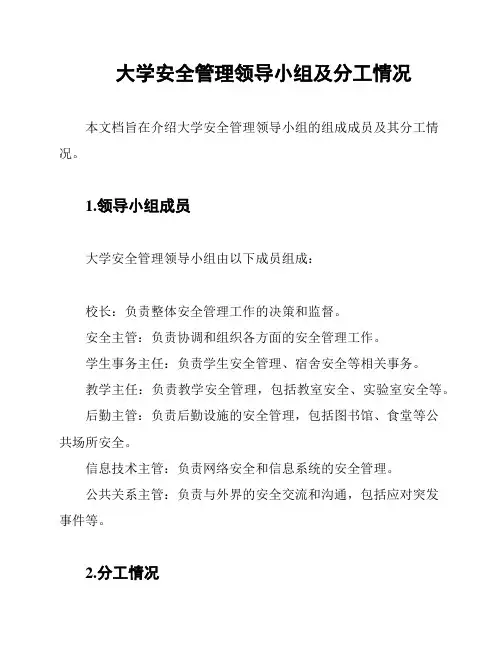大学安全管理领导小组及分工情况