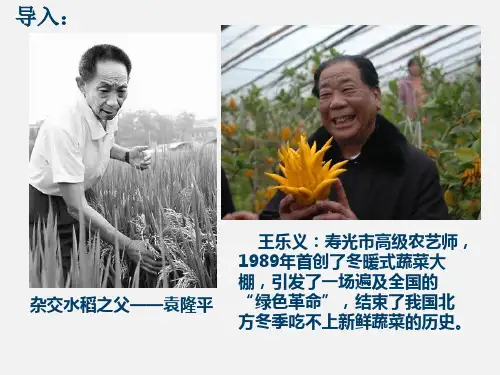 甘肃省宕昌县第一中学人教版高中地理必修2课件：31中国农业(共19张PPT)
