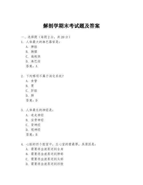 解剖学期末考试题及答案