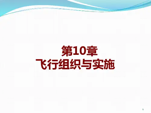 第10章飞行的组织与实施
