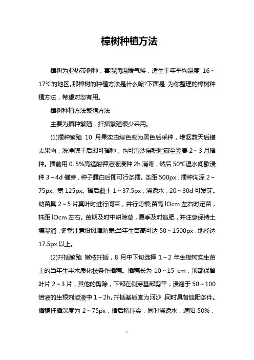 樟树种植方法