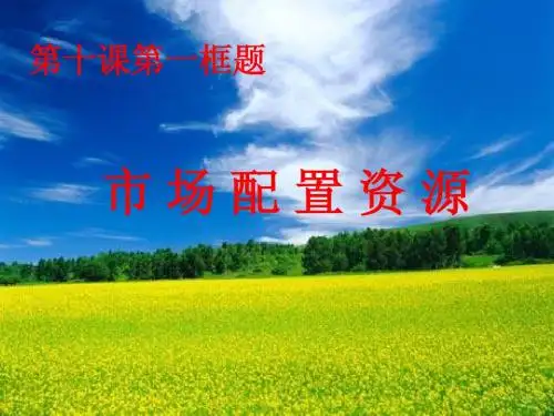 人教版高一思想政治 市场配置资源0 PPT课件