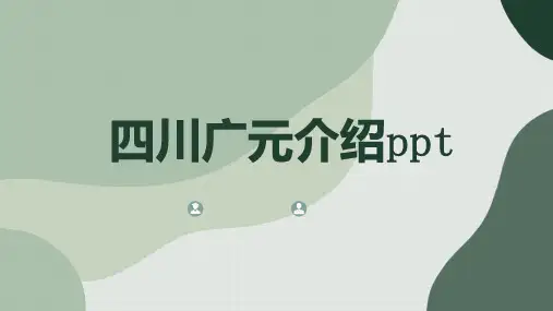 四川广元介绍