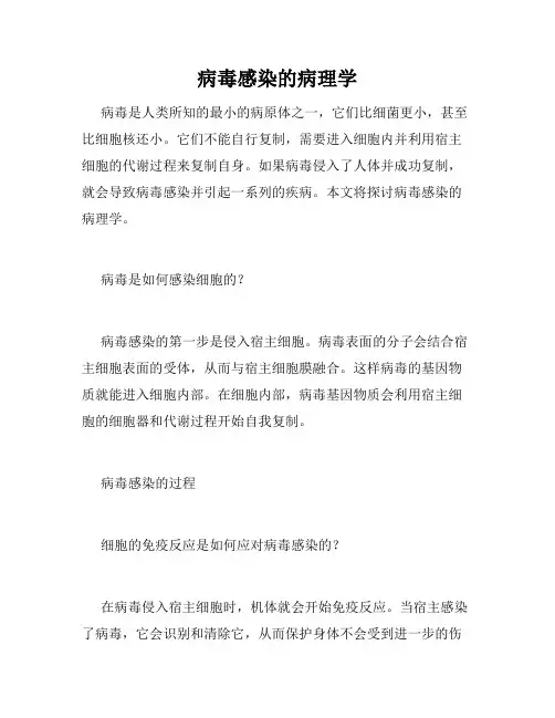病毒感染的病理学