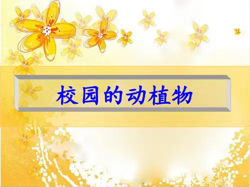 1、校园里有哪些动植物