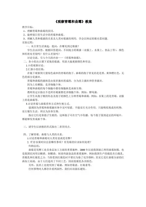 观察青霉和曲霉