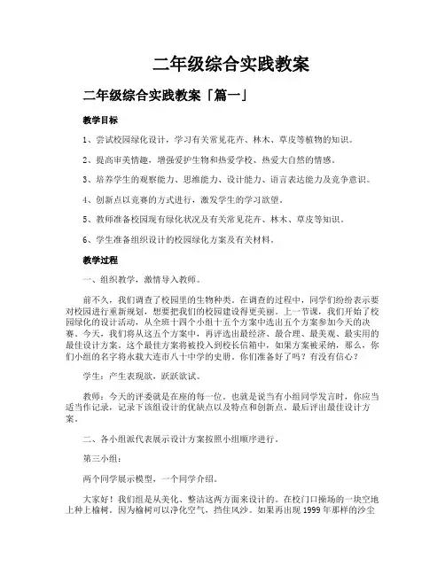 二年级综合实践教案