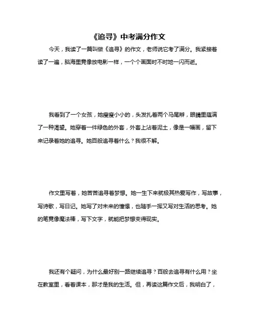 《追寻》中考满分作文