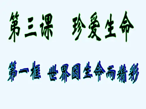 世界因生命而美丽 PPT课件