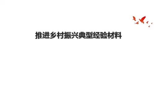 推进乡村振兴典型经验材料.pptx