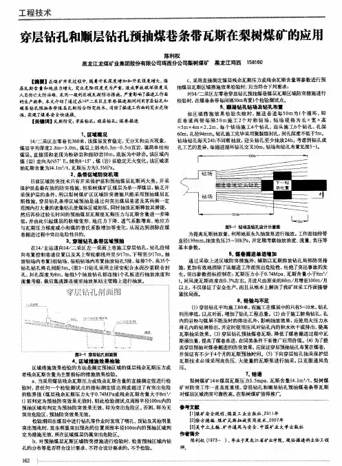 穿层钻孔和顺层钻孔预抽煤巷条带瓦斯在梨树煤矿的应用
