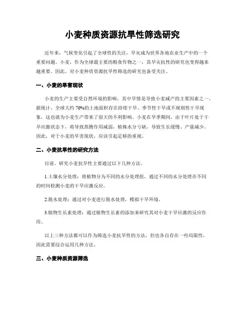 小麦种质资源抗旱性筛选研究