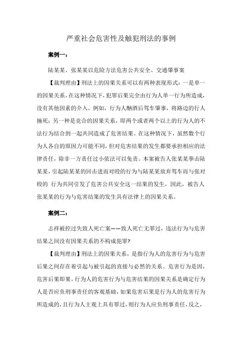严重社会危害性及触犯刑法的事例