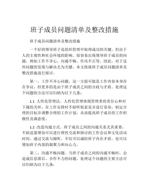 班子成员问题清单及整改措施
