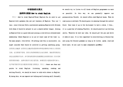 中考英语作文范文  怎样学习英语 How to study English