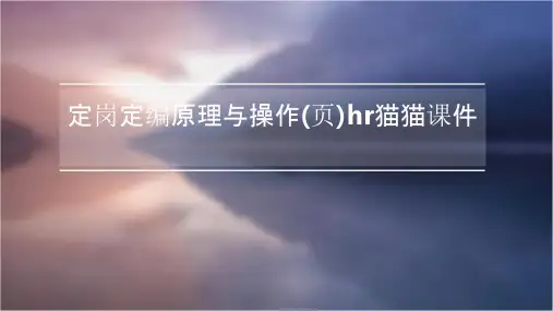 定岗定编原理与操作(页)HR猫猫课件