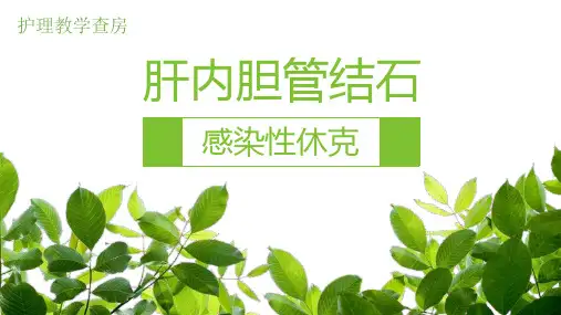 护理教学查房肝内胆管结石感染性休克PPT模板课件