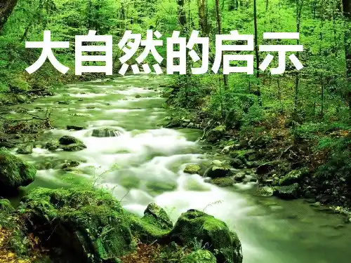 精选教育四年级下册语文 《大自然的启示》人教新课标PPT课件