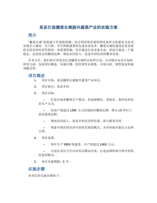 某县打造棚菜长廊振兴蔬菜产业的实施方案