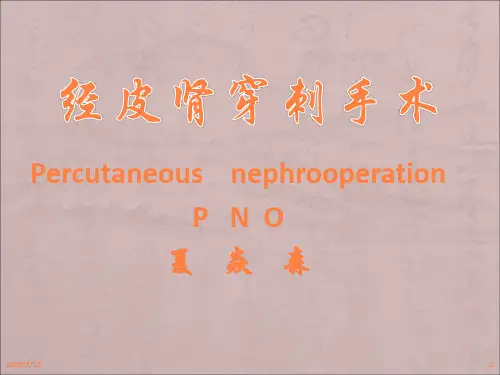 经皮肾穿刺手术ppt课件
