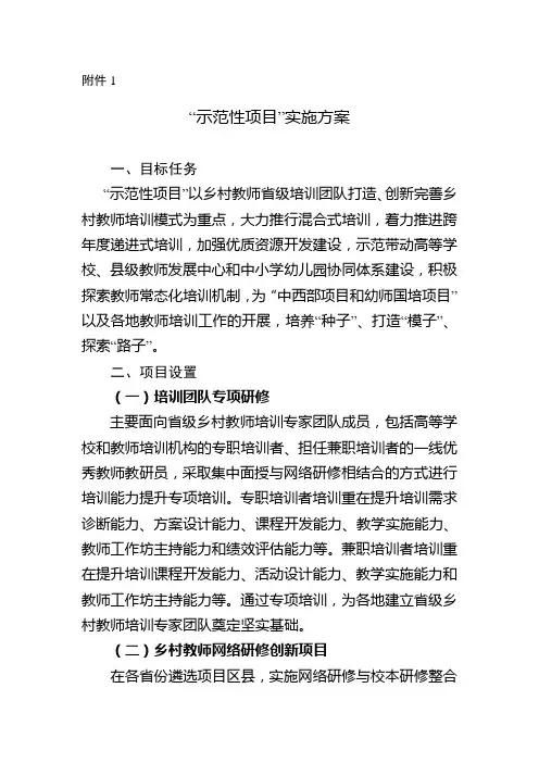 “示范性项目”实施方案