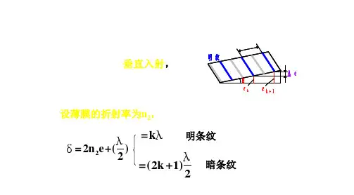 半波损失PPT课件