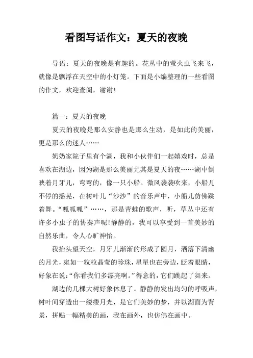 看图写话作文：夏天的夜晚