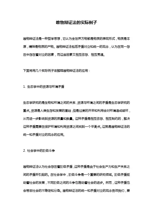 唯物辩证法的实际例子
