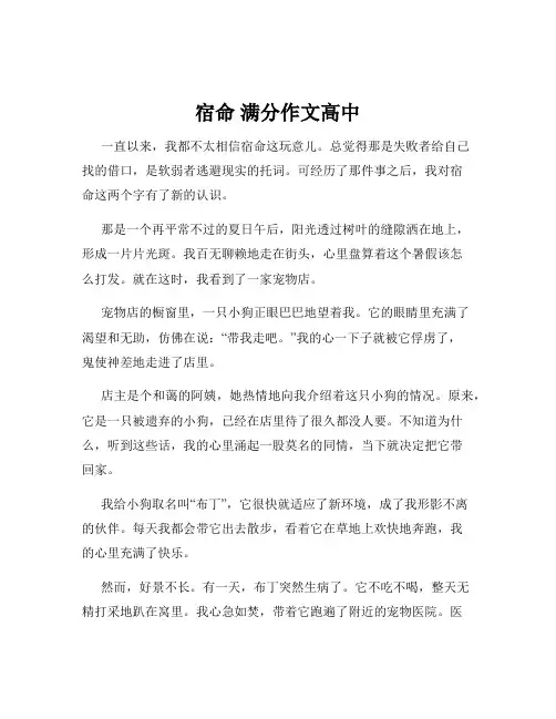 宿命 满分作文高中