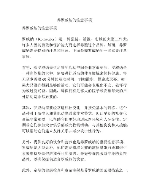 养罗威纳的注意事项