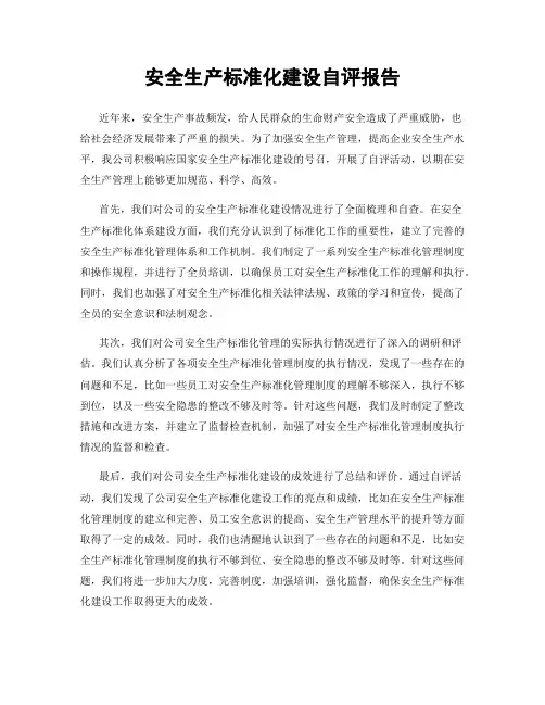 安全生产标准化建设自评报告