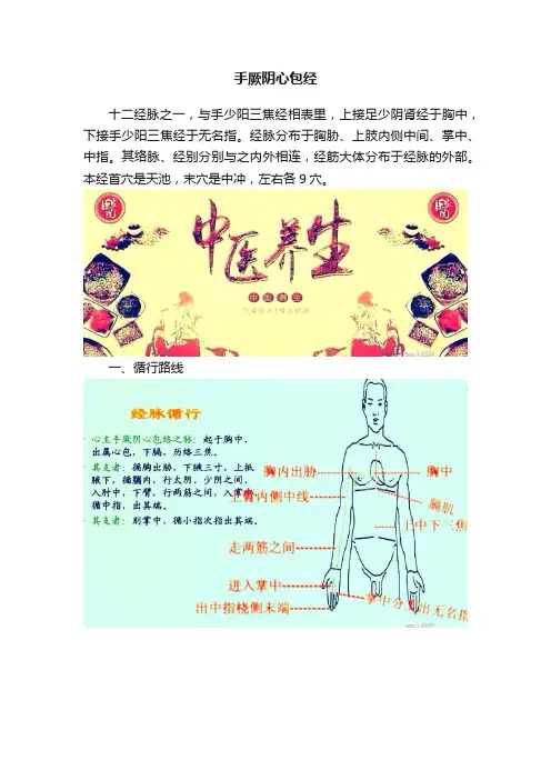 手厥阴心包经