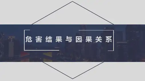 因果关系与危害结果课件