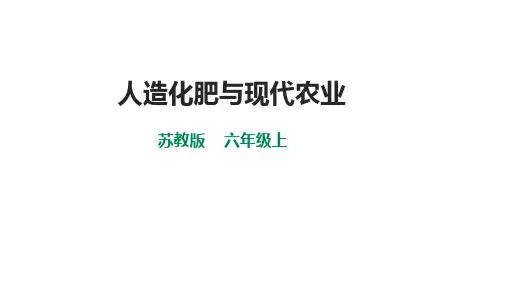 苏教版小学六年级上册科学 第五单元 科技改变生活 5 16《人造肥料与现代农业》课件(38张PPT)