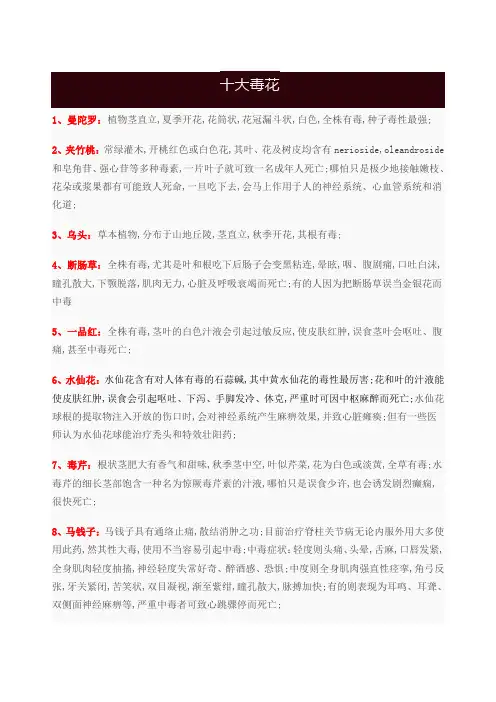 十大最毒的花