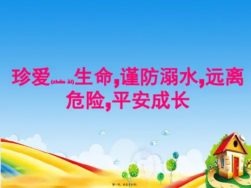 2020年防溺水安全教育(共56张PPT)