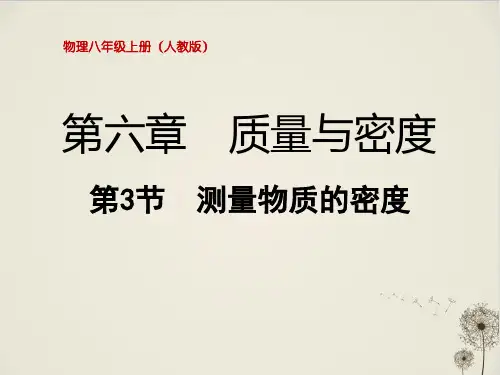 《测量物质的密度》PPT课件下载人教版1