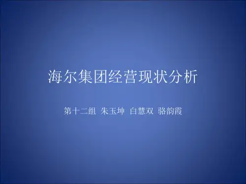 海尔集团经营现状分析