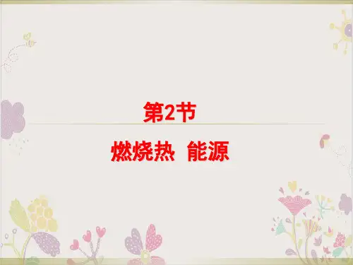 新人教版高中选修4化学1-2《燃烧热、能源》课件19张