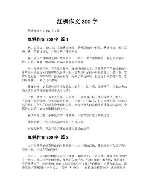 红枫作文300字