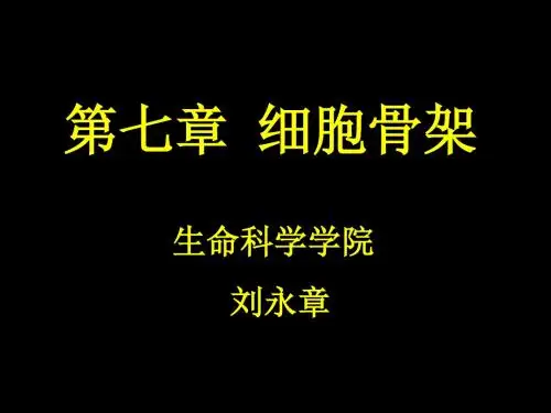 第七章细胞骨架